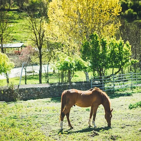 Casa rural Intrepid Rural - Adults Only